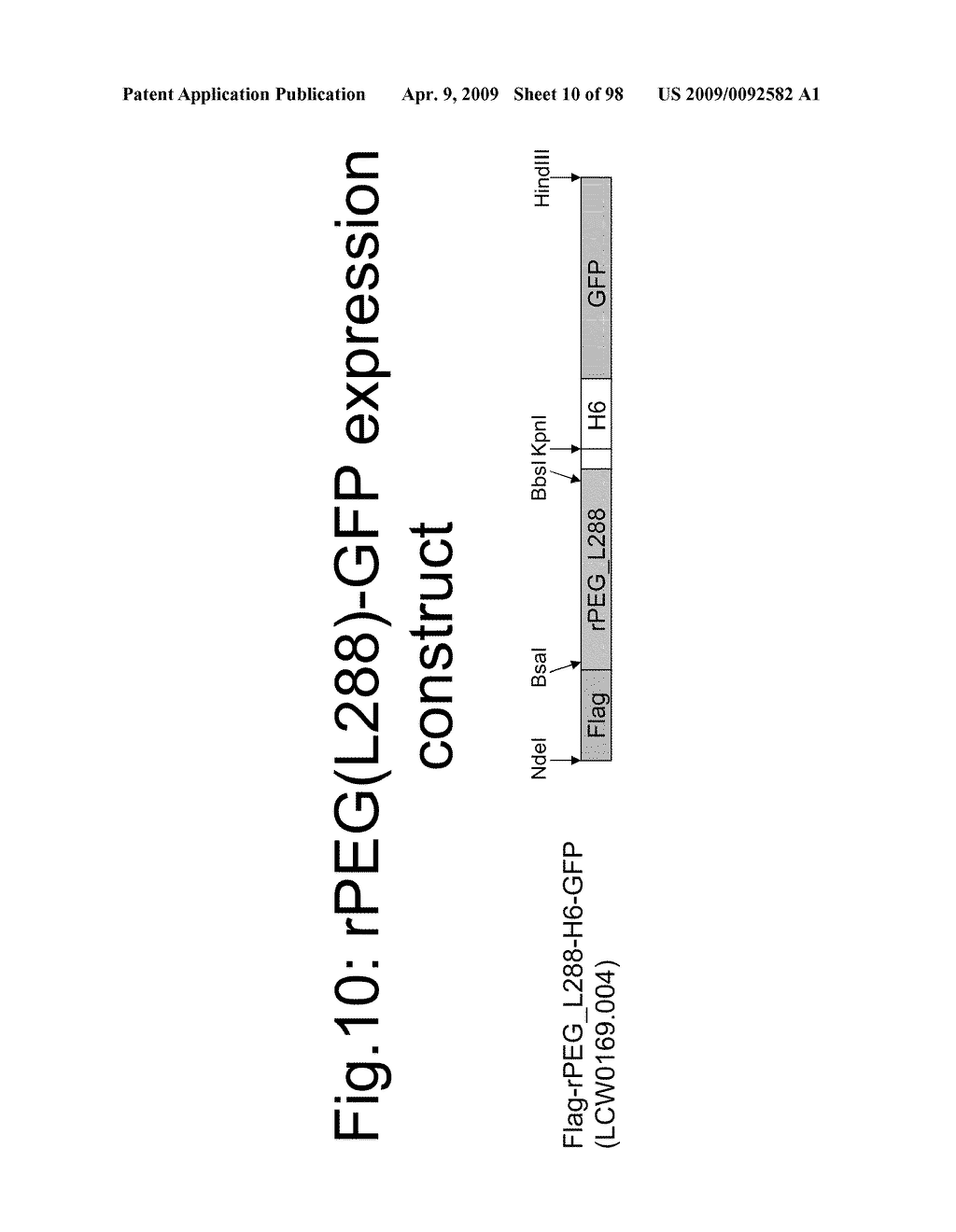 Compositions and methods for modifying properties of biologically active polypeptides - diagram, schematic, and image 11