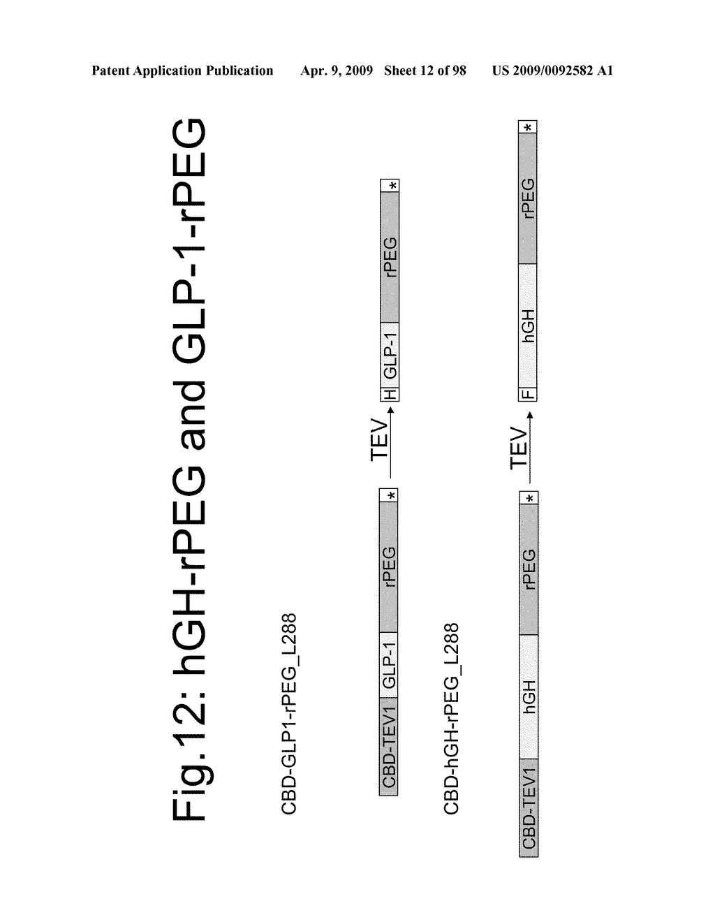 Compositions and methods for modifying properties of biologically active polypeptides - diagram, schematic, and image 13