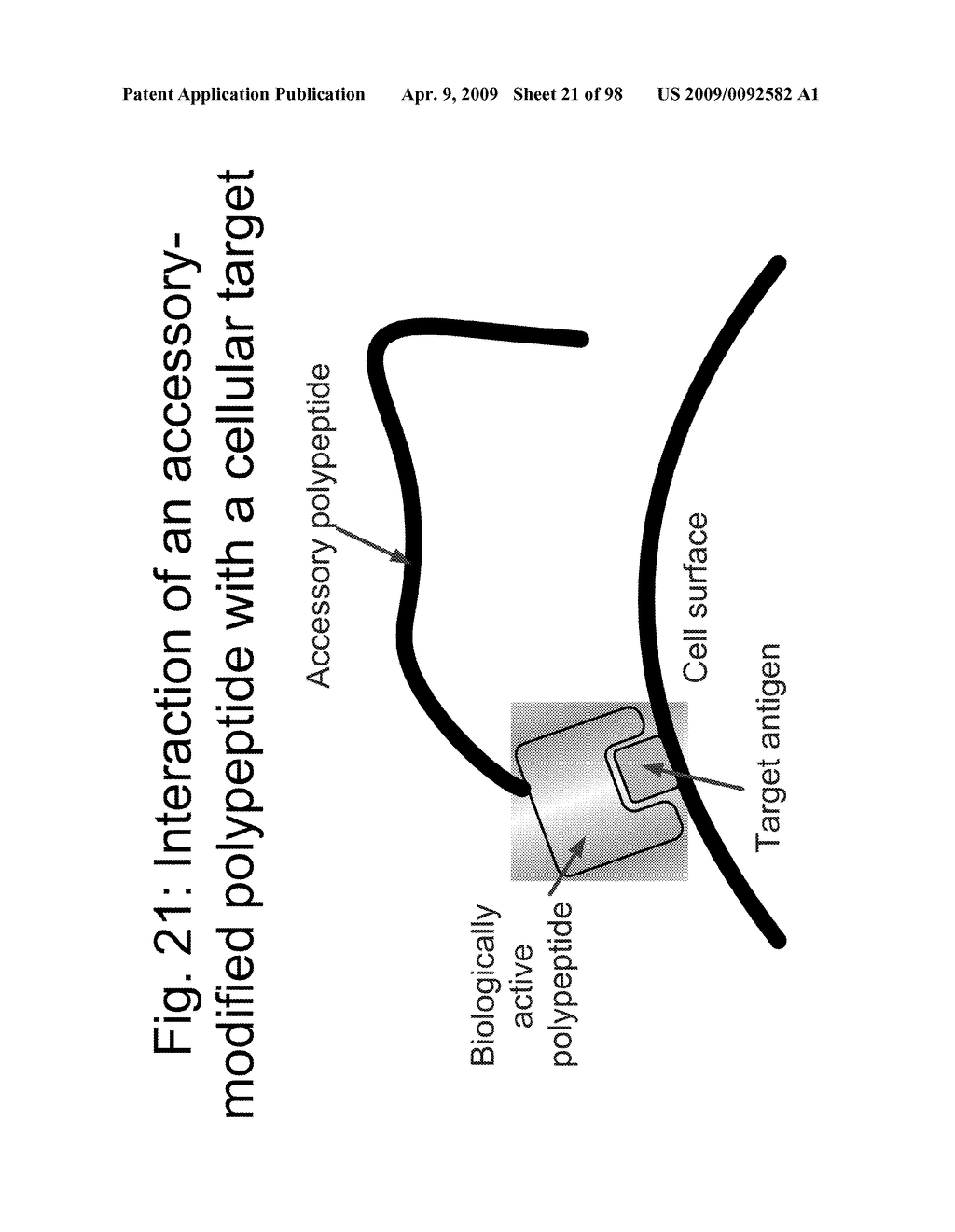 Compositions and methods for modifying properties of biologically active polypeptides - diagram, schematic, and image 22