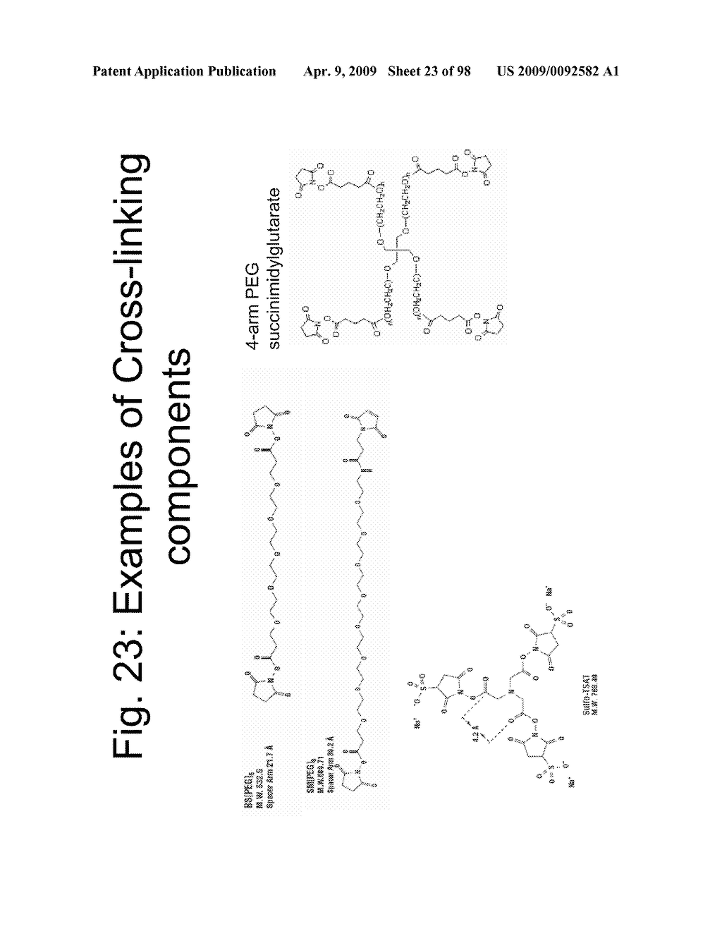 Compositions and methods for modifying properties of biologically active polypeptides - diagram, schematic, and image 24