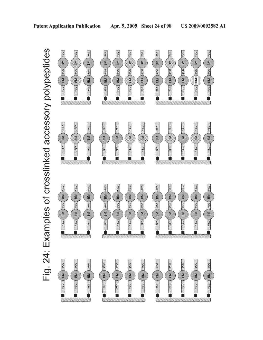 Compositions and methods for modifying properties of biologically active polypeptides - diagram, schematic, and image 25