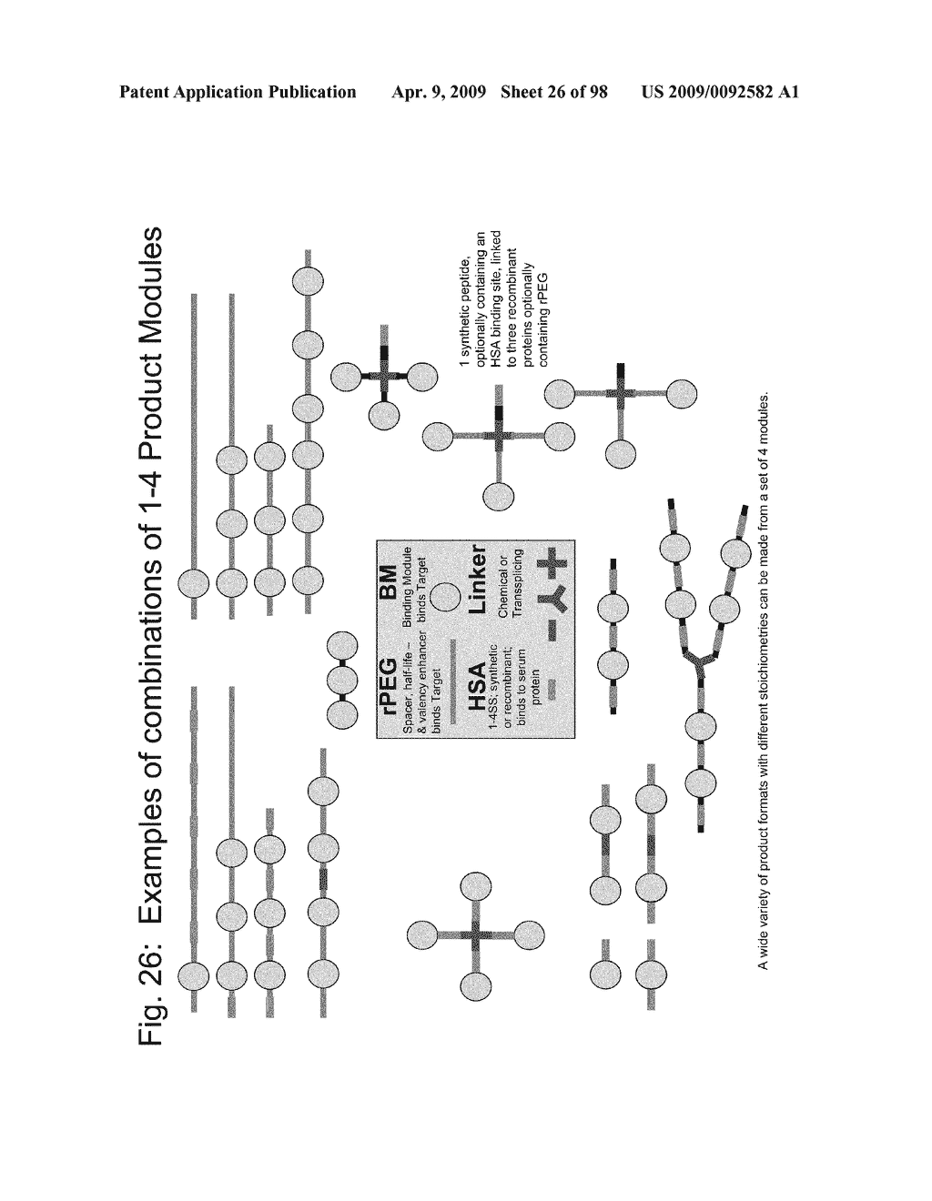 Compositions and methods for modifying properties of biologically active polypeptides - diagram, schematic, and image 27