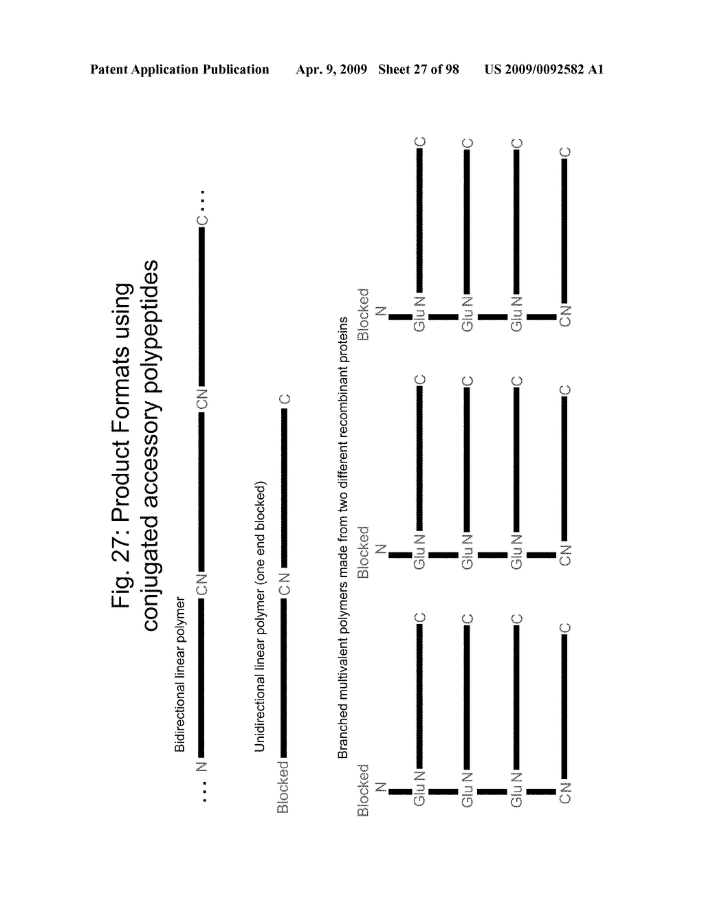 Compositions and methods for modifying properties of biologically active polypeptides - diagram, schematic, and image 28