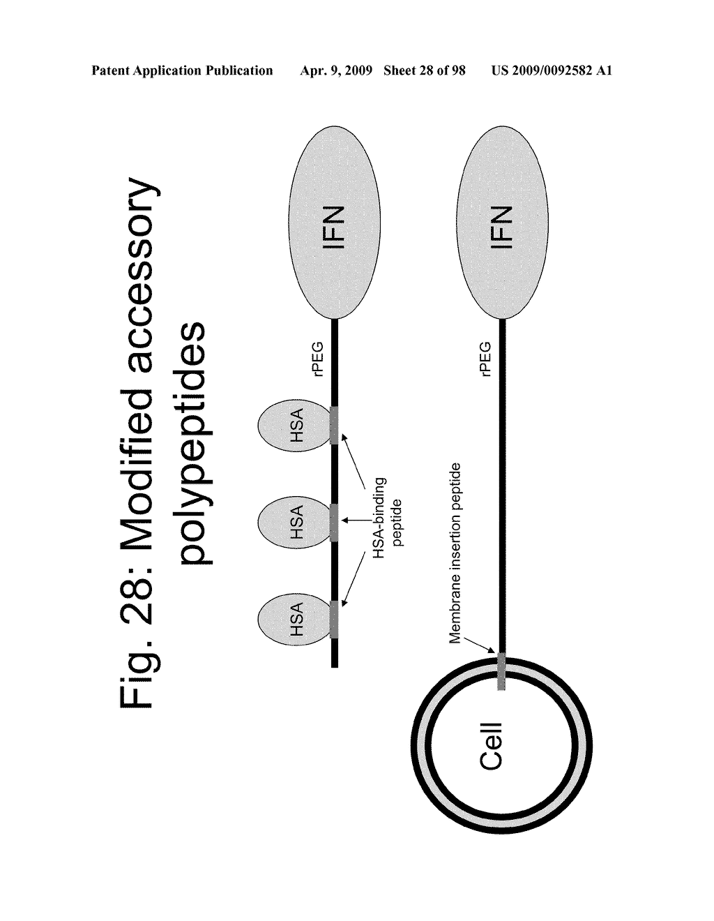 Compositions and methods for modifying properties of biologically active polypeptides - diagram, schematic, and image 29
