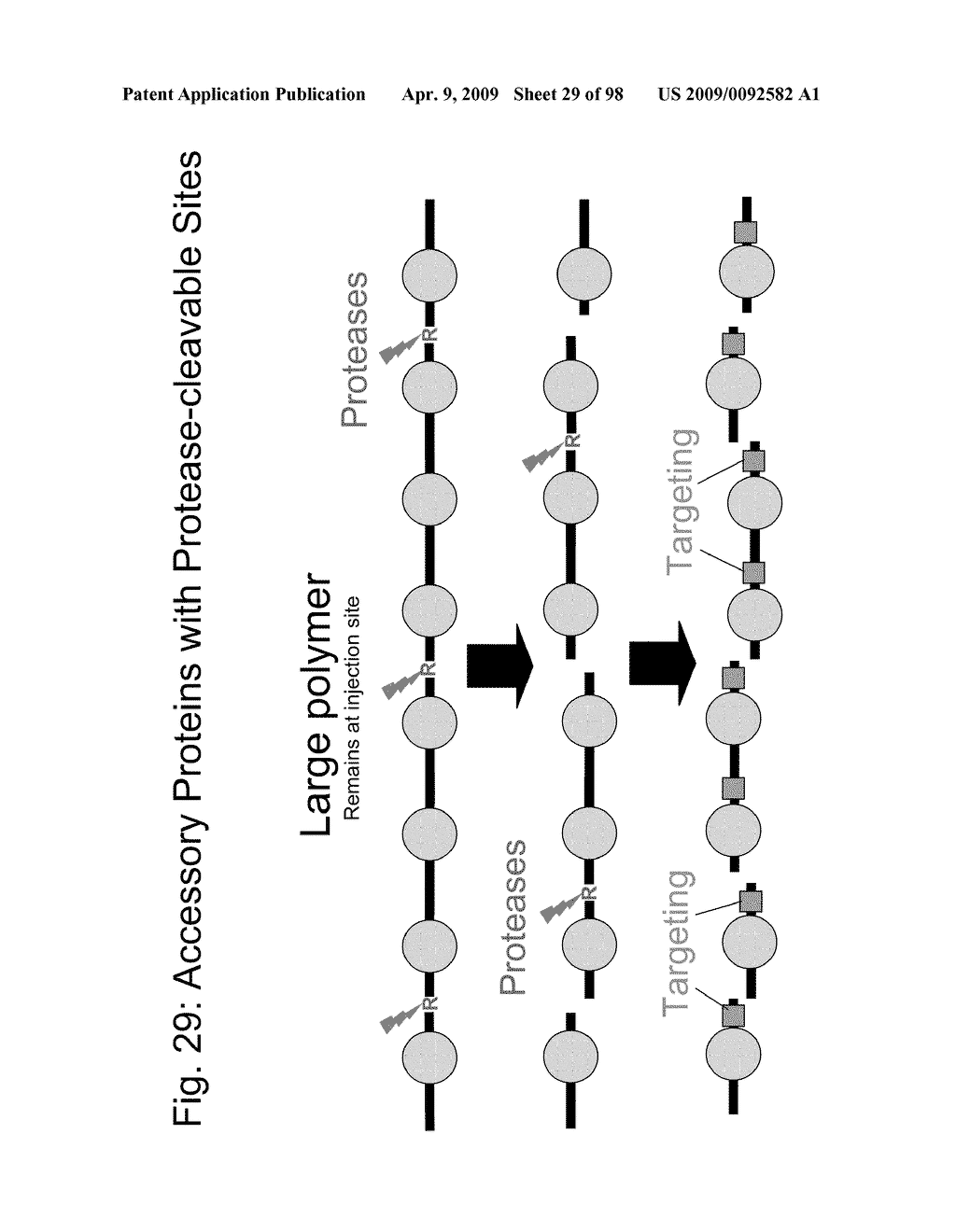 Compositions and methods for modifying properties of biologically active polypeptides - diagram, schematic, and image 30