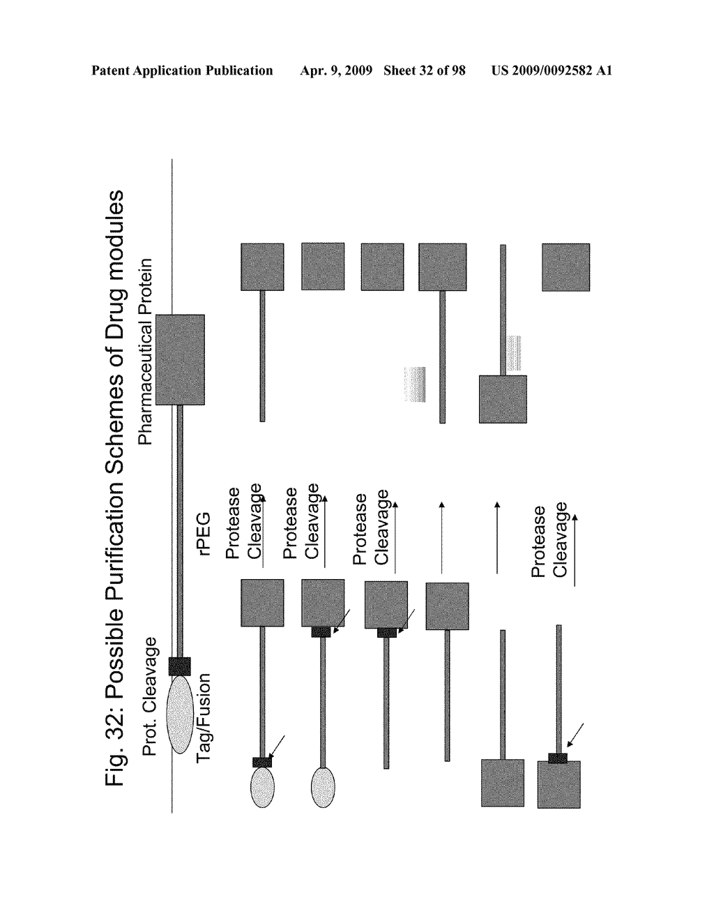 Compositions and methods for modifying properties of biologically active polypeptides - diagram, schematic, and image 33