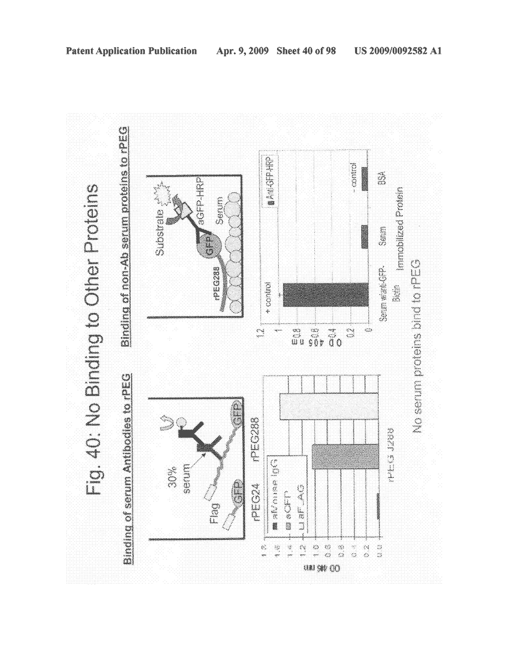 Compositions and methods for modifying properties of biologically active polypeptides - diagram, schematic, and image 41