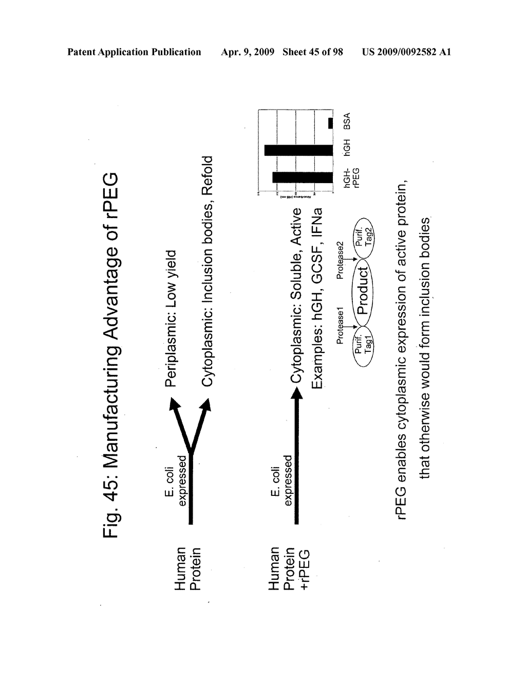 Compositions and methods for modifying properties of biologically active polypeptides - diagram, schematic, and image 46