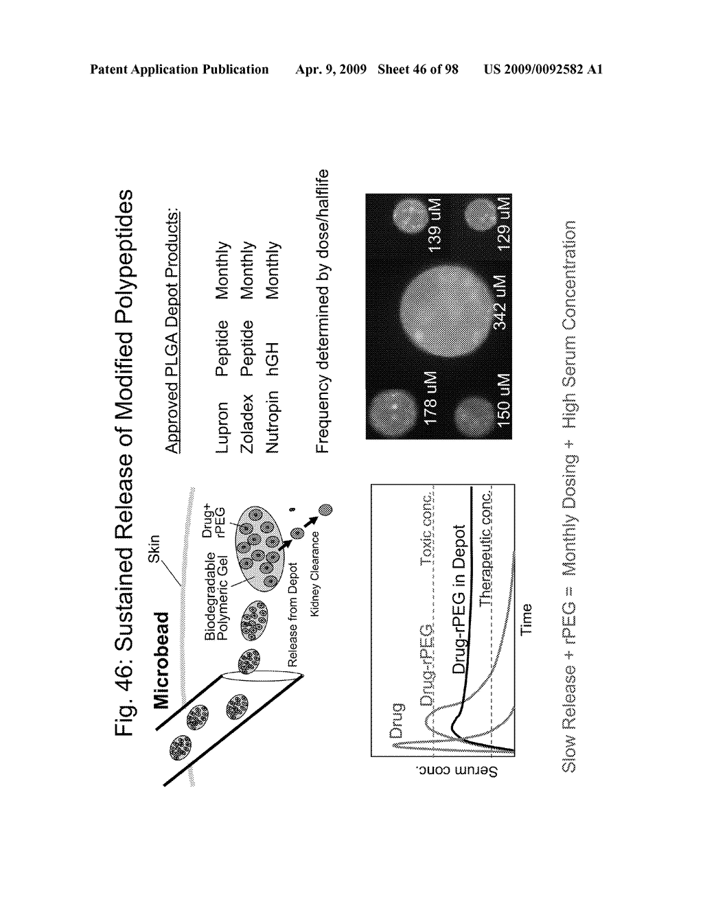 Compositions and methods for modifying properties of biologically active polypeptides - diagram, schematic, and image 47