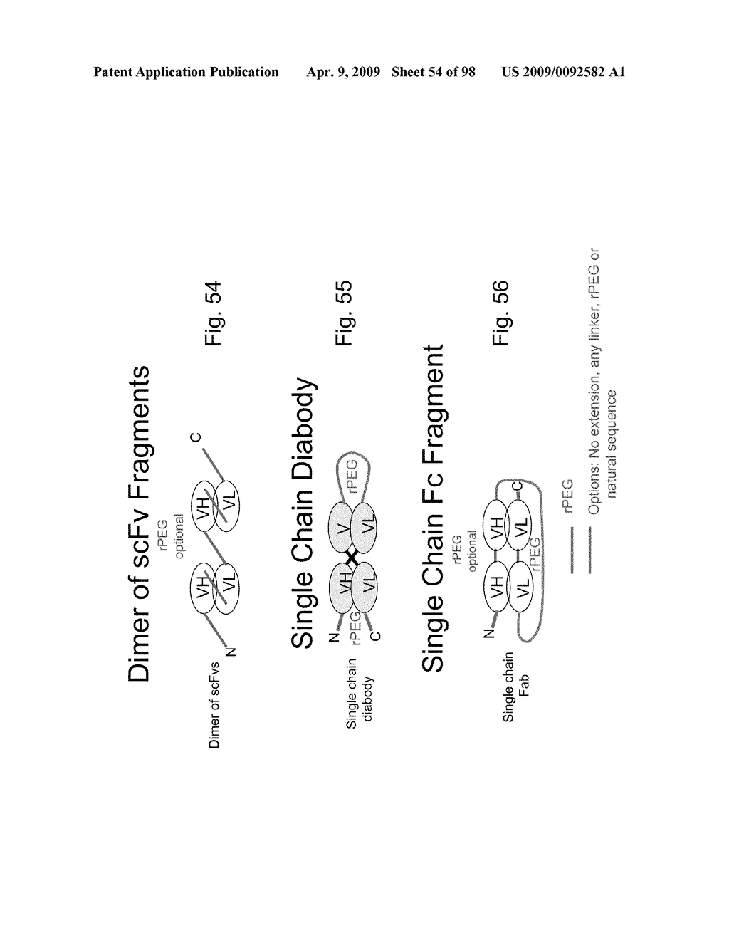 Compositions and methods for modifying properties of biologically active polypeptides - diagram, schematic, and image 55