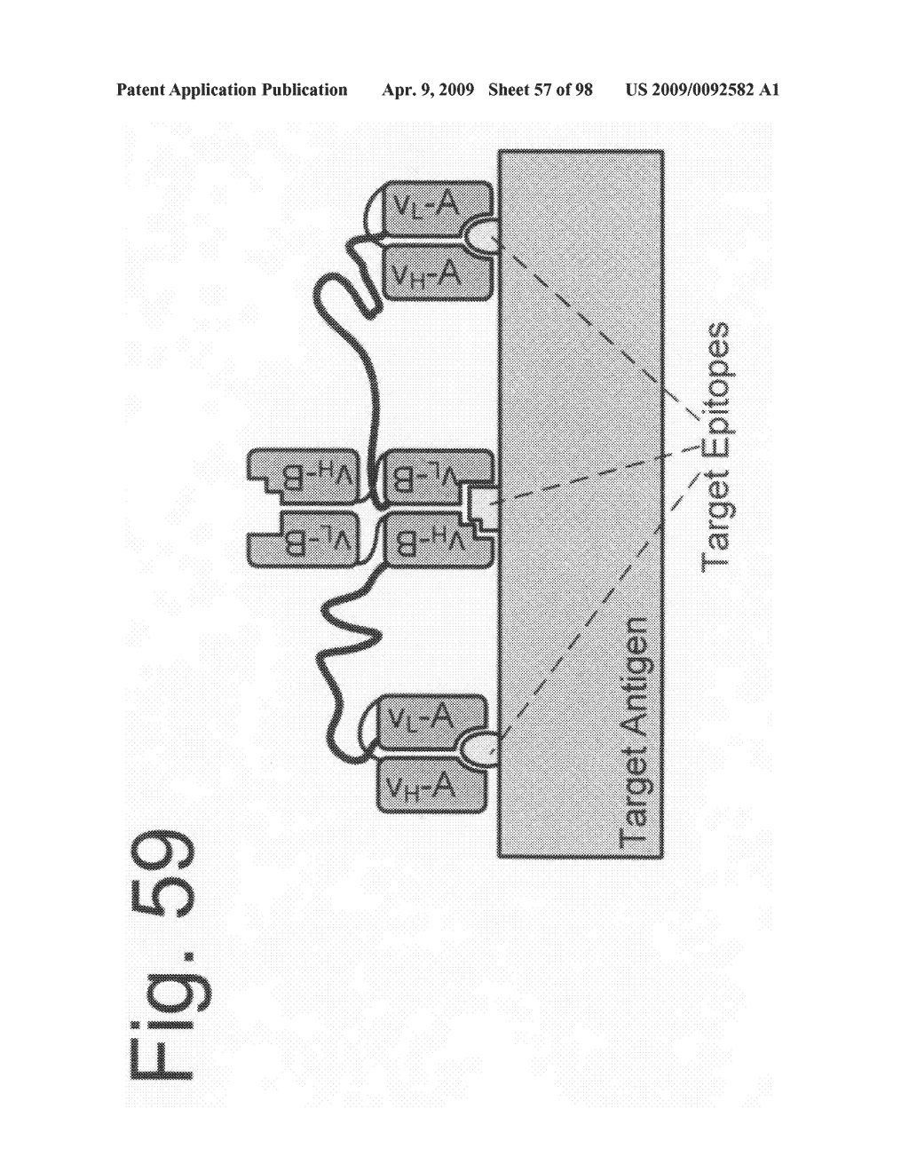 Compositions and methods for modifying properties of biologically active polypeptides - diagram, schematic, and image 58