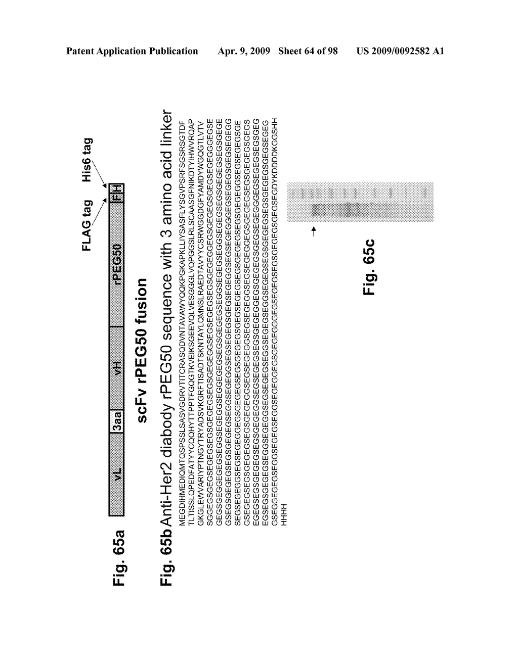 Compositions and methods for modifying properties of biologically active polypeptides - diagram, schematic, and image 65