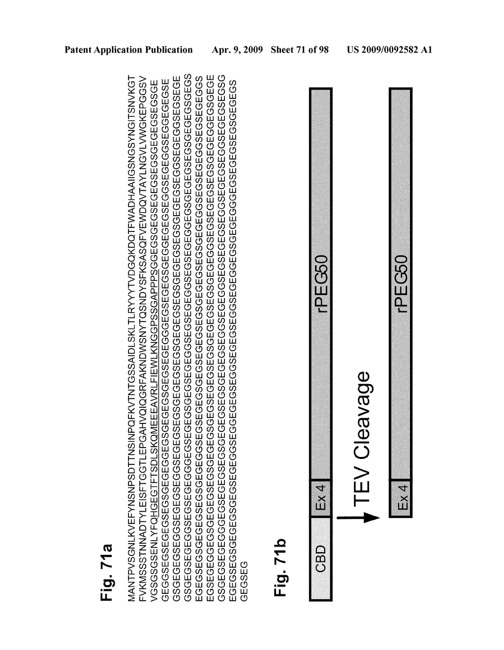 Compositions and methods for modifying properties of biologically active polypeptides - diagram, schematic, and image 72