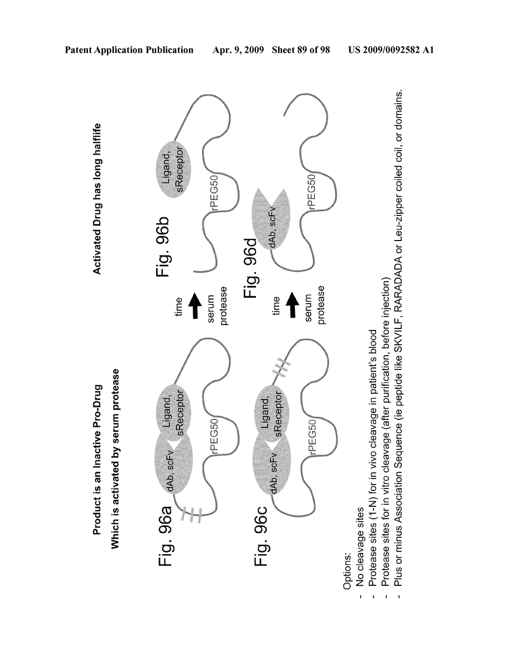 Compositions and methods for modifying properties of biologically active polypeptides - diagram, schematic, and image 90