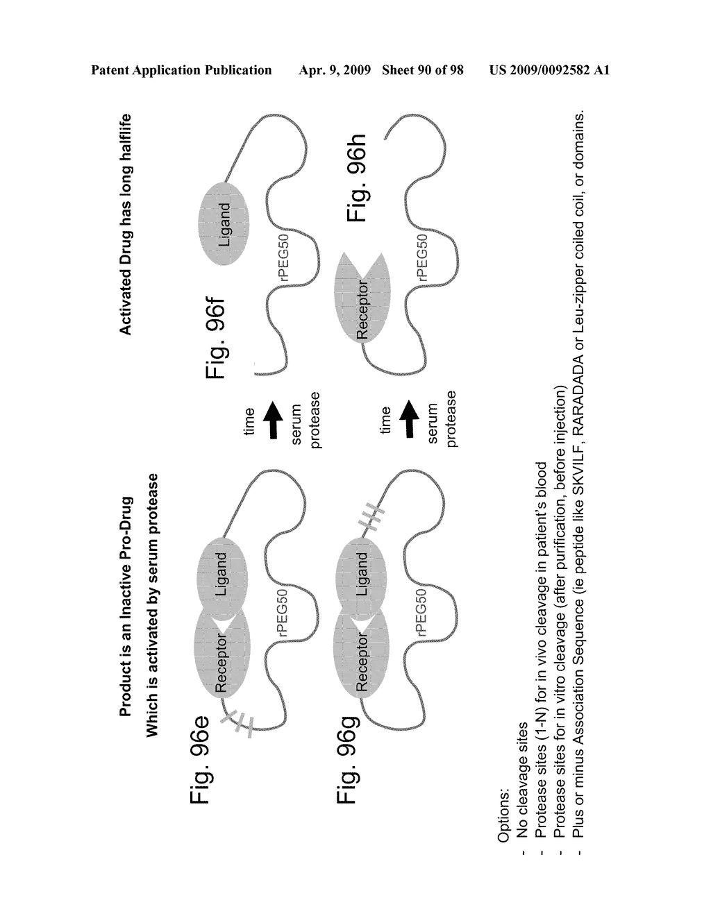 Compositions and methods for modifying properties of biologically active polypeptides - diagram, schematic, and image 91