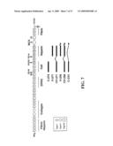 METHODS FOR ENHANCED VIRUS-MEDIATED DNA TRANSFER USING MOLECULES WITH VIRUS- AND CELL-BINDING DOMAINS diagram and image