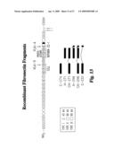 METHODS FOR ENHANCED VIRUS-MEDIATED DNA TRANSFER USING MOLECULES WITH VIRUS- AND CELL-BINDING DOMAINS diagram and image