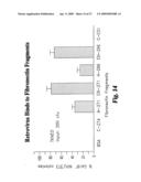 METHODS FOR ENHANCED VIRUS-MEDIATED DNA TRANSFER USING MOLECULES WITH VIRUS- AND CELL-BINDING DOMAINS diagram and image