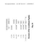 METHODS FOR ENHANCED VIRUS-MEDIATED DNA TRANSFER USING MOLECULES WITH VIRUS- AND CELL-BINDING DOMAINS diagram and image