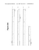 Antibody Therapy diagram and image