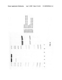 Anti-IGF-1R Antibodies and Uses Thereof diagram and image