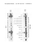 Anti-IGF-1R Antibodies and Uses Thereof diagram and image