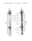 Anti-IGF-1R Antibodies and Uses Thereof diagram and image