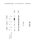 Anti-IGF-1R Antibodies and Uses Thereof diagram and image