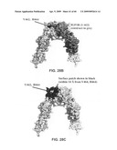 Anti-IGF-1R Antibodies and Uses Thereof diagram and image