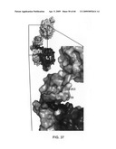 Anti-IGF-1R Antibodies and Uses Thereof diagram and image