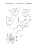 Conserved-element vaccines and methods for designing conserved-element vaccines diagram and image