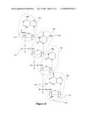 Conserved-element vaccines and methods for designing conserved-element vaccines diagram and image