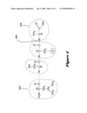 Conserved-element vaccines and methods for designing conserved-element vaccines diagram and image