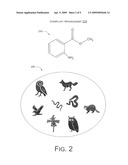 Effigy and Compound to Affect Bird Behavior diagram and image