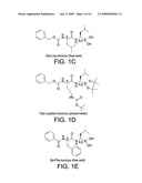 LIPOSOME COMPOSITIONS FOR IN VIVO ADMINISTRATION OF BORONIC ACID COMPOUNDS diagram and image