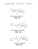 LIPOSOME COMPOSITIONS FOR IN VIVO ADMINISTRATION OF BORONIC ACID COMPOUNDS diagram and image