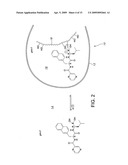 LIPOSOME COMPOSITIONS FOR IN VIVO ADMINISTRATION OF BORONIC ACID COMPOUNDS diagram and image