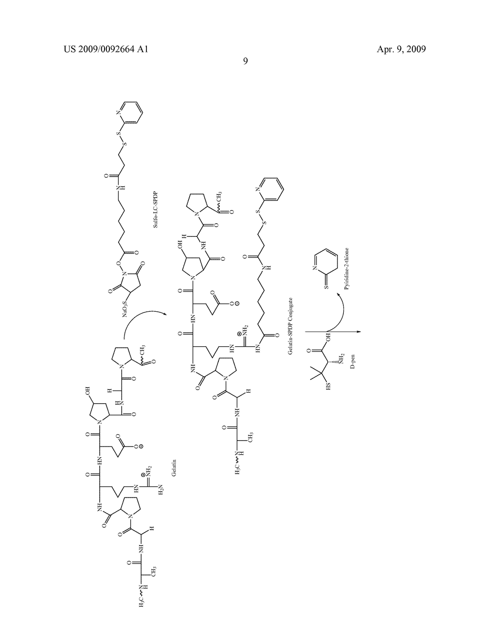 POLYMER-METAL CHELATOR CONJUGATES AND USES THEREOF - diagram, schematic, and image 26