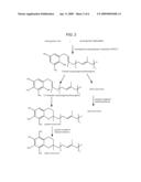 COMPOSITIONS AND METHODS FOR ALTERING ALPHA- AND BETA-TOCOTRIENOL CONTENT USING MULTIPLE TRANSGENES diagram and image