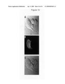 Method for combined parallel agent delivery and electroporation for cell structures an use thereof diagram and image