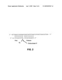 METHOD FOR GENERATING TARGET NUCLEIC ACID SEQUENCES diagram and image