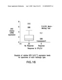 METHODS FOR ISOLATING LONG FRAGMENT RNA FROM FIXED SAMPLES diagram and image