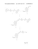 Fluorescent Nucleobase Conjugates Having Anionic Linkers diagram and image