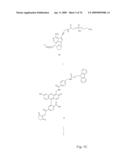 Fluorescent Nucleobase Conjugates Having Anionic Linkers diagram and image