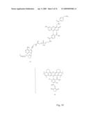 Fluorescent Nucleobase Conjugates Having Anionic Linkers diagram and image