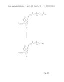 Fluorescent Nucleobase Conjugates Having Anionic Linkers diagram and image