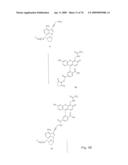 Fluorescent Nucleobase Conjugates Having Anionic Linkers diagram and image