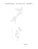 Fluorescent Nucleobase Conjugates Having Anionic Linkers diagram and image