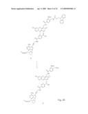 Fluorescent Nucleobase Conjugates Having Anionic Linkers diagram and image