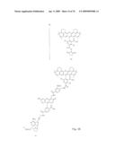 Fluorescent Nucleobase Conjugates Having Anionic Linkers diagram and image